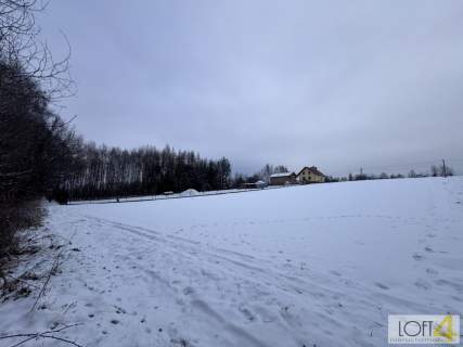 Duża działka z WZ - wiele możliwości