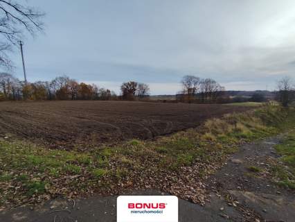 Działka usługowa przy S6