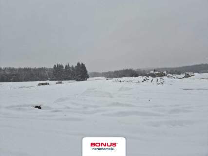 5ha ze stawem i projektem 12 domków