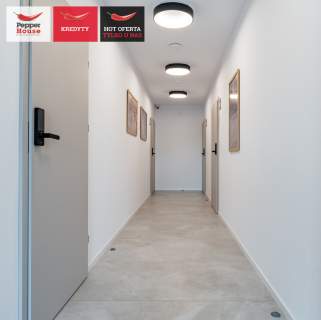 11 apartamentów Hotel/Pensjonat lub Dom Opieki
