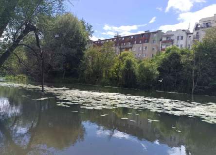 Okolice ul. Mierniczej