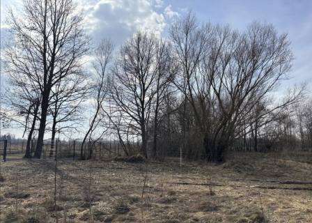Działka Płaciszewo