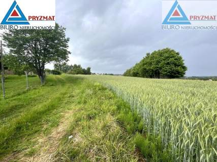 SPRZEDAM DZIAŁKĘ - GADY