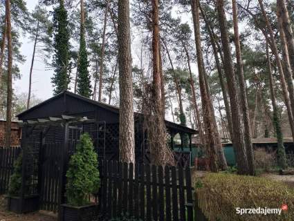 DOMEK LETNISKOWY w GRZYBOWIE koło Skoków.