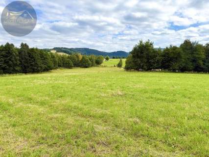 Działka 4090 m2 z warunkami zabudowy - Boreczna