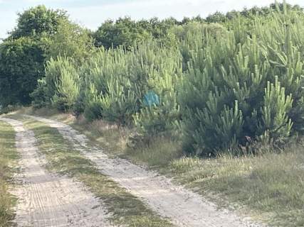 Atrakcyjna działka z warunkami zabudowy Karczewko Puszcza Zielonka