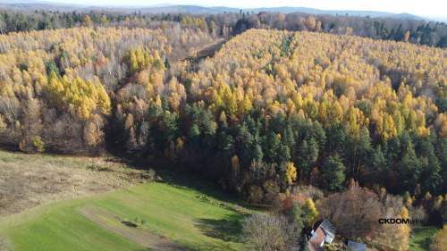 Działka na sprzedaż Cisów