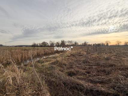 Działka rolna 0,84 ha Turka, gmina Dorohusk