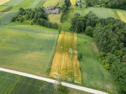 Ustawna działka z WZ - 8300m2 Czajęcice