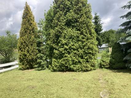 Rekreacyjna ROD w centrum Buałegostoku 298m2