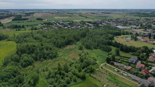 Działka rolno-leśna w Kolnie - 1,1850 ha