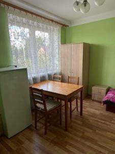 Dom do wynajęcia, 270 m2, Wiskitki