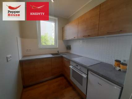 Studio z oddzielną kuchnią sypialnią i ogródkiem