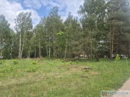 Działka 800m2 w Siennicy