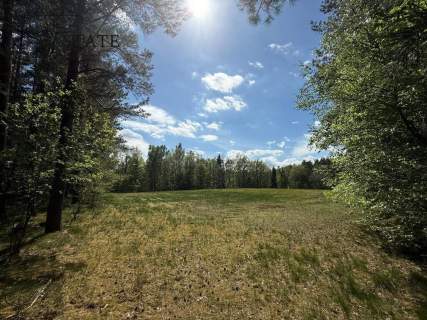 Działka w otulinie lasów Trzy Rzeki, Kaszuby 