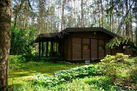 Leśna działka 2100 m z domkiem Radziejowice