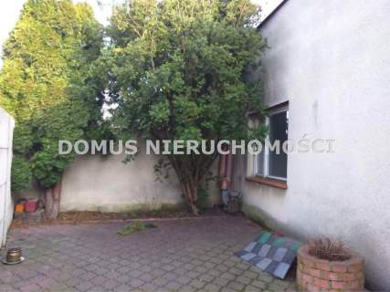 Lokal do wynajecia 150 m2 Koluszki