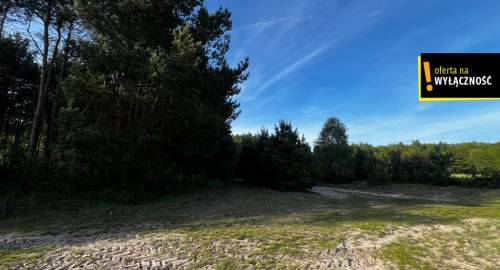 1,67 ha gruntu w cenie 40 000 zł