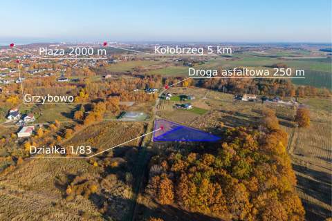Działka budowlana na sprzedaż, 2007 m2, Stary Borek