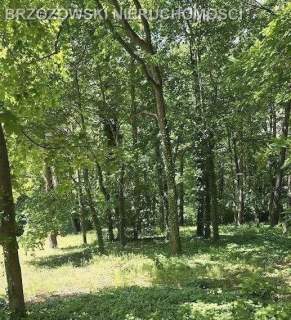 Podkowa Leśna, rejon Parkowej, MPZP, mieszkaniowa