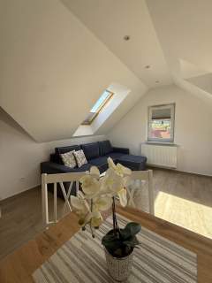 Apartament przy Parku Zdrojowym w Polanicy Zdrój to propozycja...