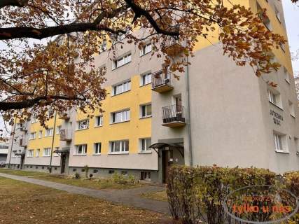 KOMPAKTOWE KAWALERKJA NA GRUNWALDZIE