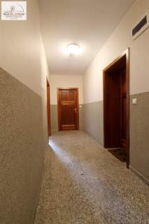 Komfortowe bezczynszowe apartamenty w Centrum