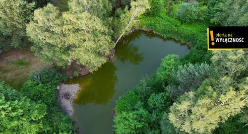 Działka ze stawem i lasem koło Solca Zdroju