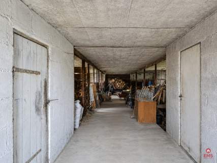 Siedlisko 0,6 ha, gm. Brańsk