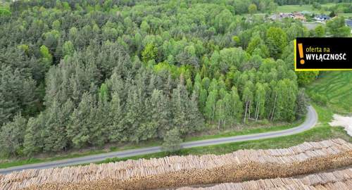 Atrakcyjna działka leśna 2030 m Świdno