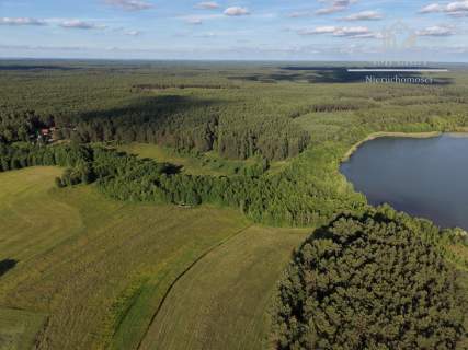 3,3 ha w sercu Borów Tucholskich - łąki las Mermet