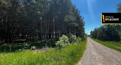 DZIAŁKA GOTOWA POD BUDOWĘ OSZCZĘDŹ CZAS
