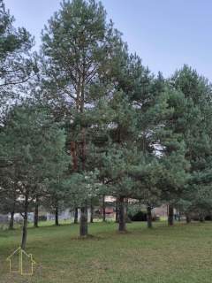 Dom Letniskowy całoroczny 75 m2