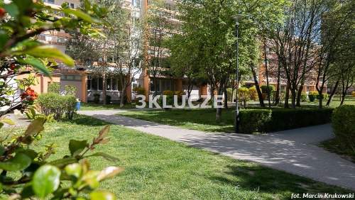 Dwa pokoje Czuby - Bursztynowa