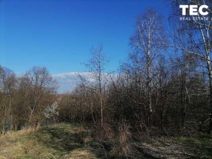 73 ar I Wrząsowice I zielona spokojna okolica