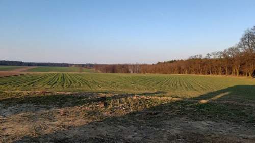 Działki budowlane o pow. 970m2 i 999m2, Kamień