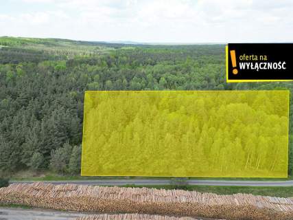 Atrakcyjna działka leśna 2030 m Świdno