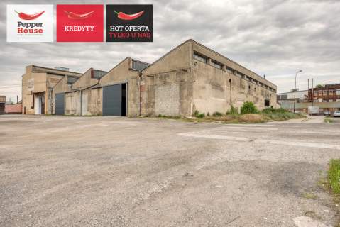 Hala 1800 m2 w Pakości - Produkcja Magazyn Biura