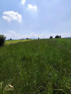 Działka mieszkaniowo - usługowa 977 m Lipowa