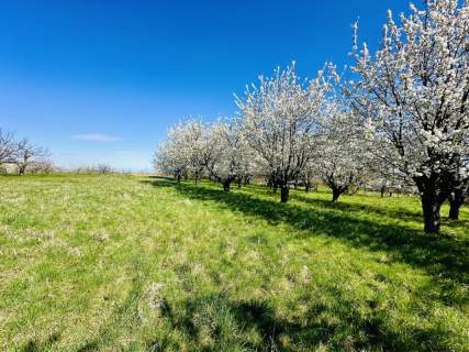 Prawie pół hektara pod Ślężą Wyjątkowa 4142 m2