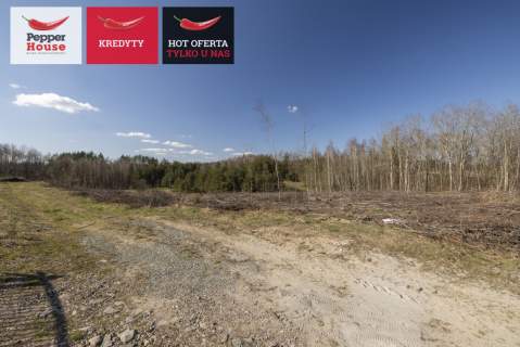 Michalin Działka 4079 m MPZP 27MN jezioro