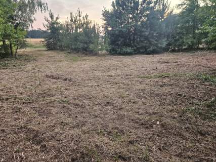 Działka rolno-budowlana 1,52 ha Dąbrowa gm. Ludwin