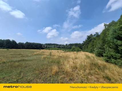 Działka 2,8ha w Dolinie Baryczy Wilkowo