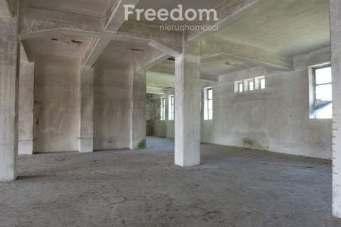 Duża hala 2500m2 wraz z gruntem, źródło wody