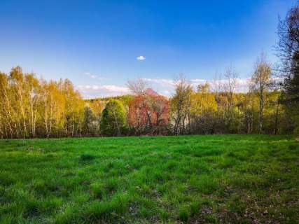 3,33 ha z lasem i strumykiem - teren pod zabudowę