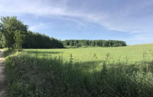 Działki z Warunkami Zabudowy przy lesie Michałki