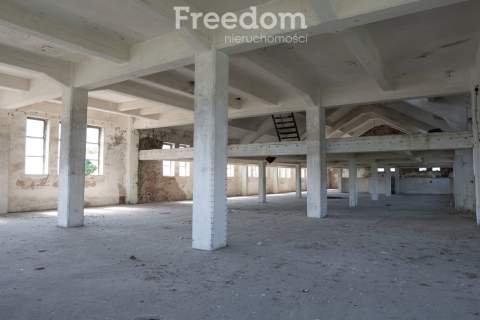 Duża hala 2500m2 wraz z gruntem, źródło wody