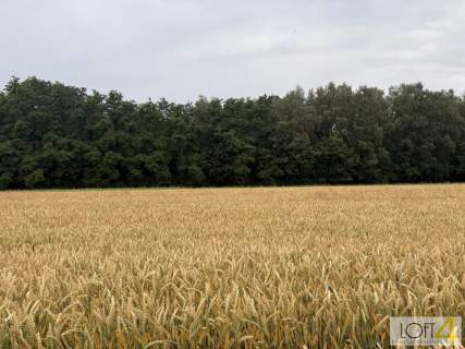 Duża działka z WZ - wiele możliwości