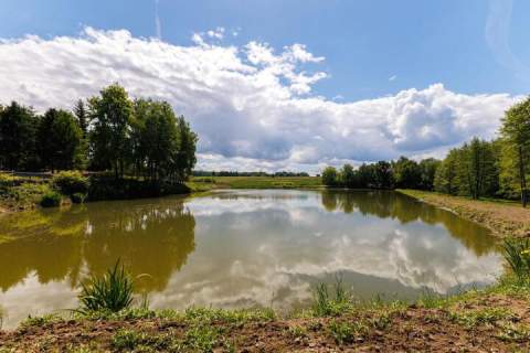 BESTWINA Działak budowlano-usługowa