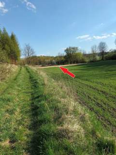 Pole 30ar 30 minut od KRK, Kościejów/Racławice